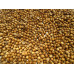 CORIANDER SEEDS / DHANIYA / DHANIYALU LAXMI - 800 GMS / 28 OZ