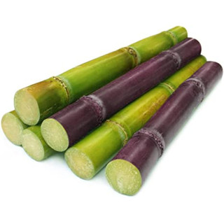 SUGARCANE - 1 PC  [2 FT approx.]