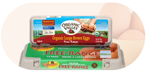 Organic Eggs