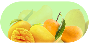 Indian Mangoes