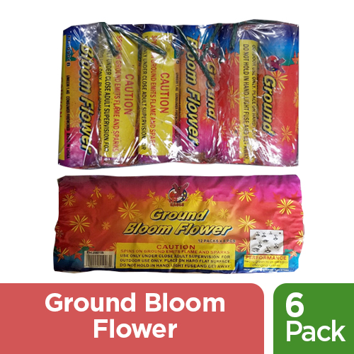 Big Fat Ground Bloom Flower Fireworks Best Flower Site
