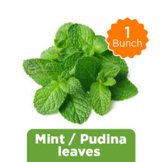 MINT / PUDINA LEAVES - 1 BUNCH MINT / PUDINA LEAVES - 1 BUNCH