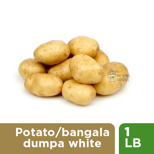 POTATO / AALU / BANGALA DUMPA  WHITE - 1 LB