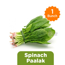 SPINACH  / PAALAK- 1 BUNCH