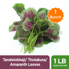 TANDELOBHAJI / THOTAKURA / AMARANTH LEAVES - 1 BUNCH (1 LB Approximate ) TANDELOBHAJI / THOTAKURA / AMARANTH LEAVES - 1 BUNCH (1 LB Approximate )