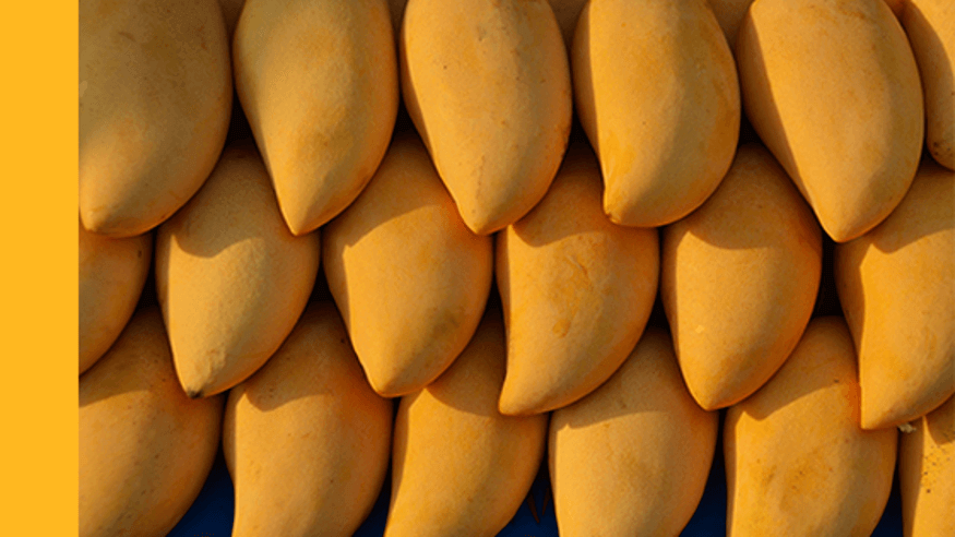 variety of mangoes by heart 